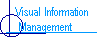Visual Information 
 Management